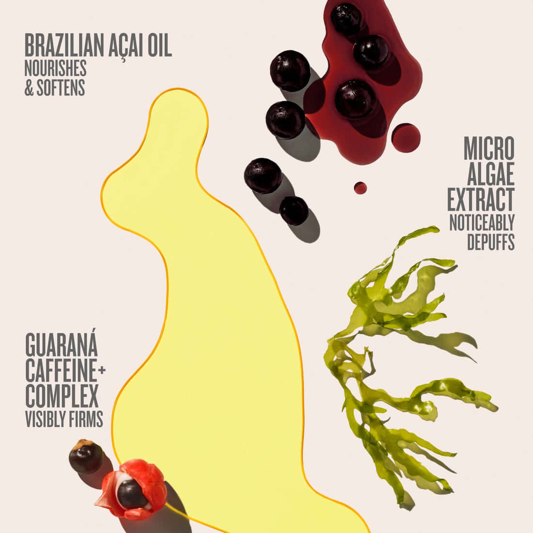 Product packaging with aloe vera, acai berries, and seaweed on a light background