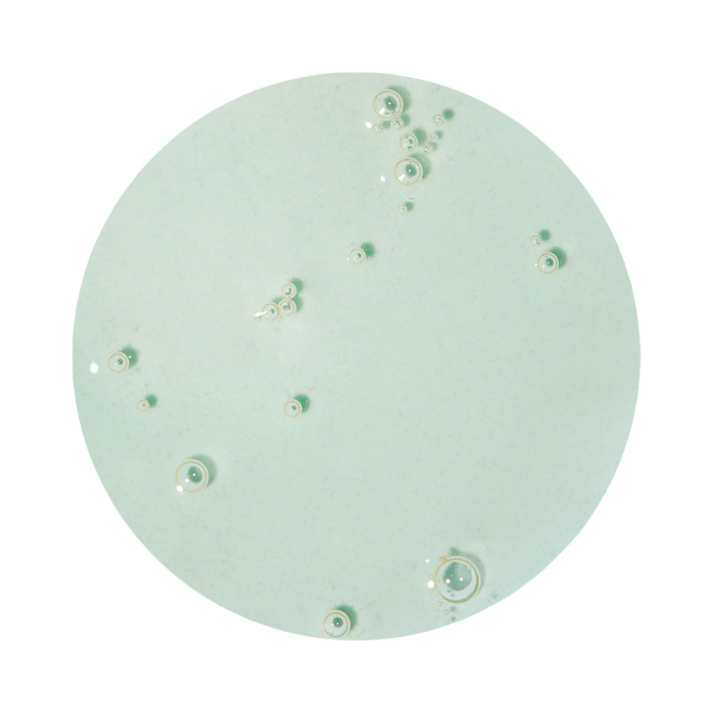 Round green plate with decorative elements on a white background