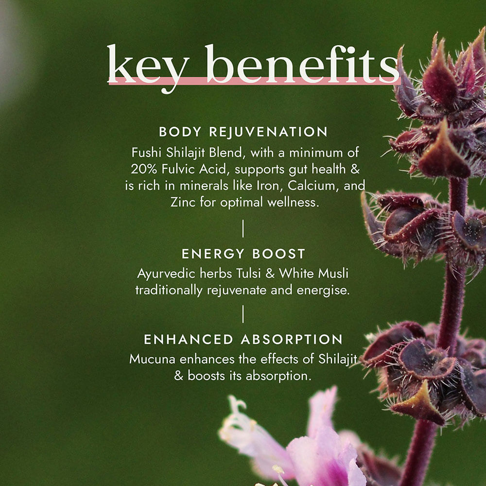 Key benefits of a natural supplement blend with text on a green background