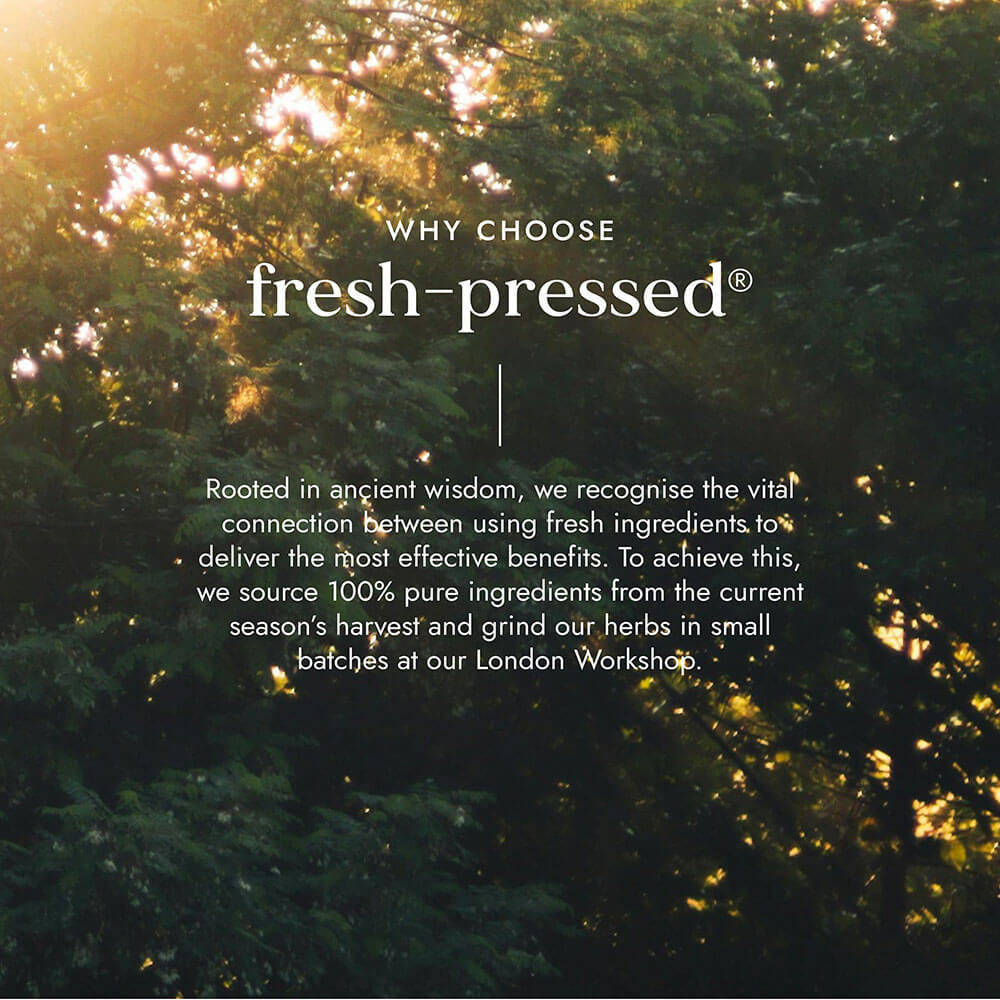 Text overlay on a background of green foliage with sunlight filtering through.