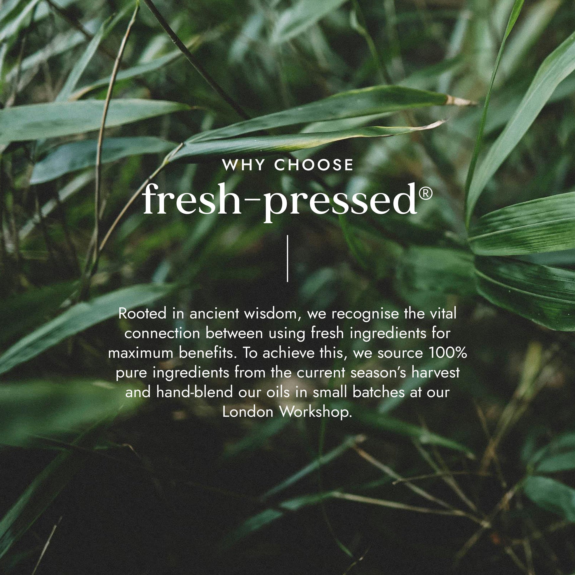 Text about 'fresh-pressed' brand with green leaves in the background
