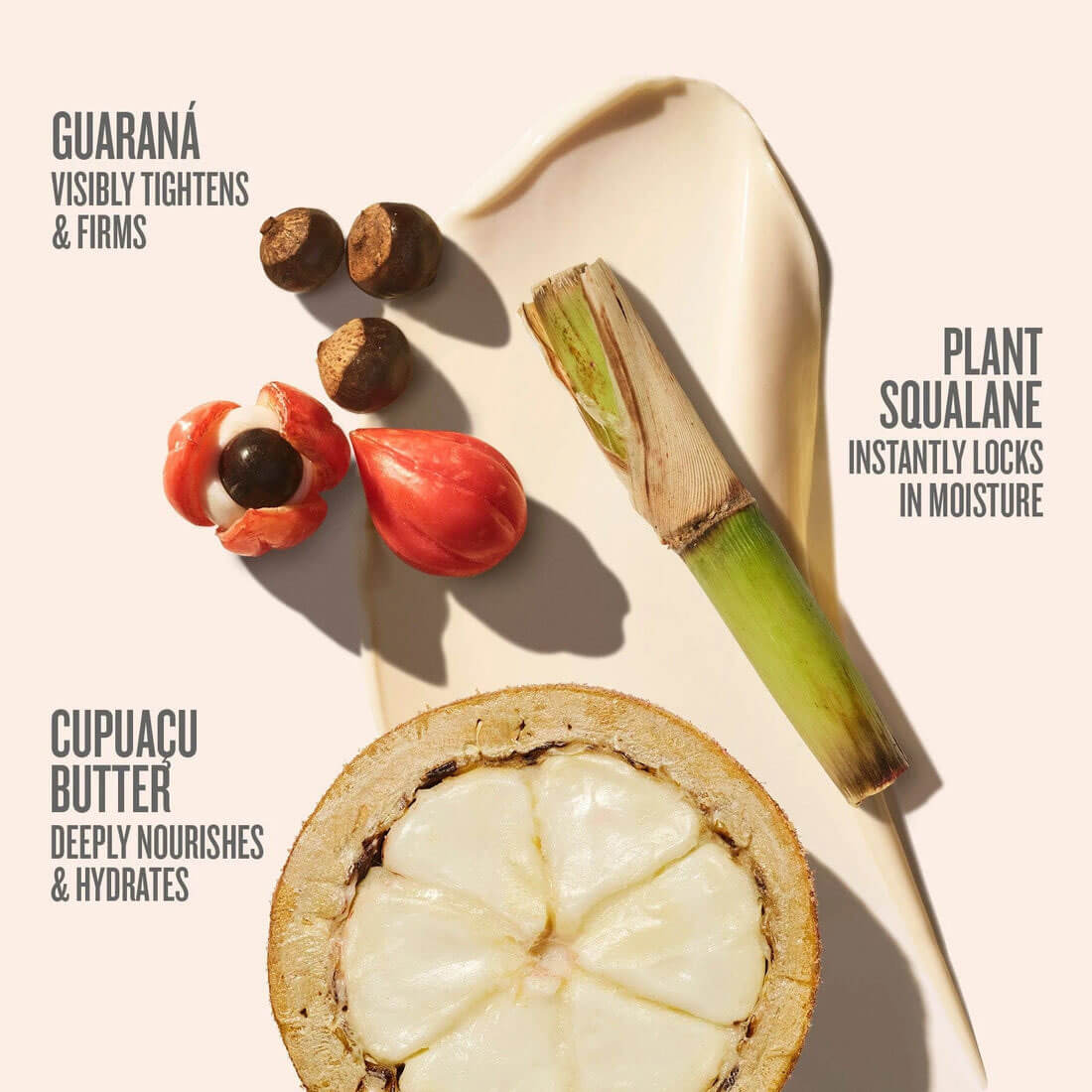 Ingredients used in skincare products displayed on a beige background with text describing their benefits.