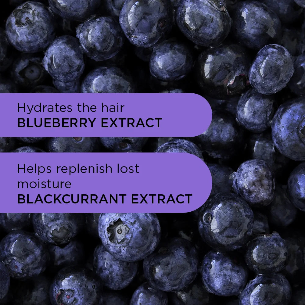 Close-up of blueberries with text about blueberry and blackcurrant extract benefits.