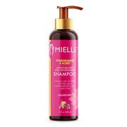 mielle shampoo